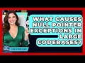 What Causes Null Pointer Exceptions In Large Codebases - Learn To Troubleshoot