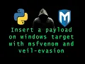 How to insert a payload on target windows with Python MetaSploit