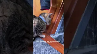 Day 37 of living on a sailboat. The one with the engine drama #sailboatlife #dayinthelife #florida