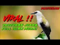 Download Lagu masteran trucukan yang lagi hits !!