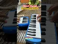 Sepohon Kayu Remix - Pinaika Basuri Manual #telolet #basuri #pianika