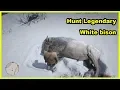 Red Dead Redemption 2 How To Hunt Legendary White Bison