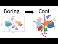 3D rotating single-cell UMAP