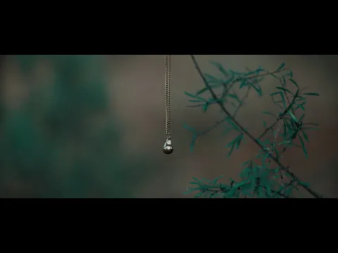 El BOSQUE DEL ECO | Teaser (04-12-24)