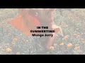 In the Summertime | Mungo Jerry | Lyrics ☾☀