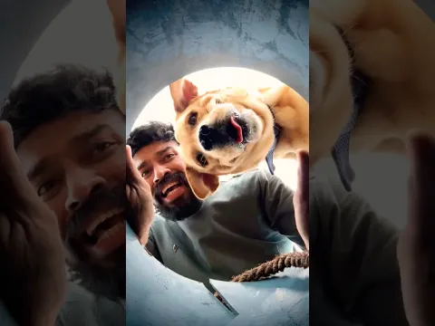 💕Purest Dog Love story-1❤️watch till end❤️ #labrador #doglover #goldenretriever #doglove #puppies