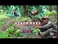 Download Lagu jumpa rombongan  ayam hutan satu titik 4 poin, berburu ayam hutan