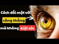 Download Lagu Khoa học về STRESS 🔥: Bí Quyết Làm Việc Hiệu Quả Dưới Áp Lực Dồn Dập (mà k BURNOUT)