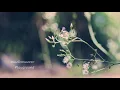 เพลงรักเพลงแรก : Playground