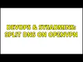 DevOps SysAdmins Split DNS on OpenVPN 2 Solutions