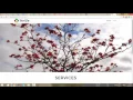 How to Modify a WordPress Parent Theme s JavaScript Files