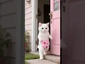 Download Lagu After the Kitten’s Prank, the Dog Turns Into the Coolest Fashion Pup Coffin Dance Theme Song (COVER)