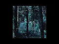 GAS - Narkopop 11