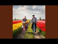 Download Lagu Ik vind je leuk
