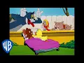 Download Lagu Tom \u0026 Jerry | Who is the Cutest? | Classic Cartoon Compilation | WB Kids