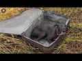 Download Lagu Sat alone in a forgotten suitcase, he silently cried when someone hugged him