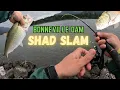 Bonneville Dam Shad Slam 2026 Caught 70 Fish at Bradford Island Tanner Creek Oregon May 29th