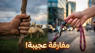 خدعة الوعي  هل نوع حيوانك يحدد من أنت دندنها