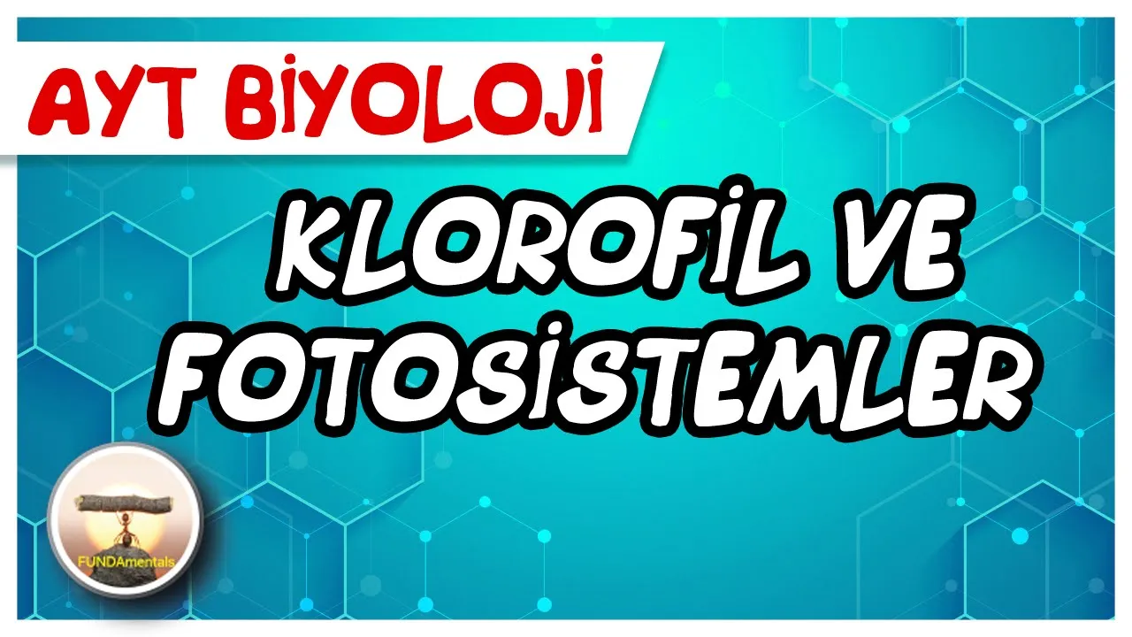 AYT Biyoloji | Klorofil ve Fotosistemler #sayfa158