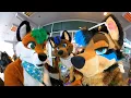 Anthro New England 2025 ANE 2025 - Random Clips