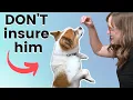 Don t Buy Pet Insurance Do this instead