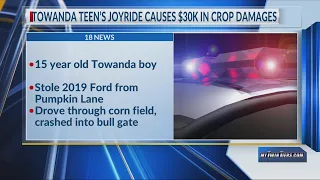 Towanda teen s joyride causes 30K in crop damages