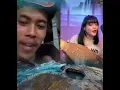 Lagu MAS IYUN LIVE, PASTI PADA NUNGGU \