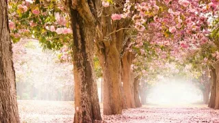 لابد من يوم معلوم تترد فيه المظالم 