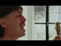HIPNOTICA - Sesión Acústica.