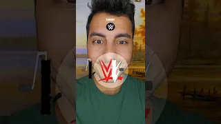 Painting WWE logo color match puzzle game