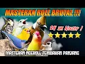 Download Lagu #14 MASTERAN TERBARU TEMBAKAN BURUNG KECIL AUDIO JERNIH | 24 JAM NONSTOP!