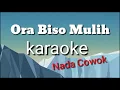 Lagu Ora Biso Mulih | Karaoke | nada cowok |Dedi kempot audio HD