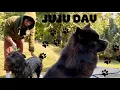 Download Lagu GROOMING DAY FOR OUR PITCHOW *JUJU* VLOG