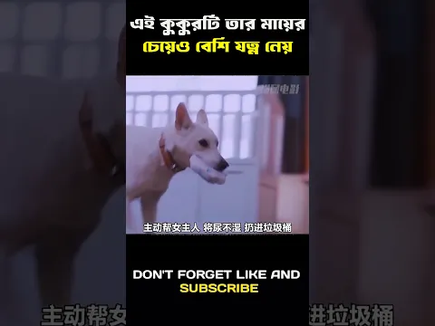 Hollywood movie best scean forever| full gameing movie Bangla explain #shorts #movie #gameplay