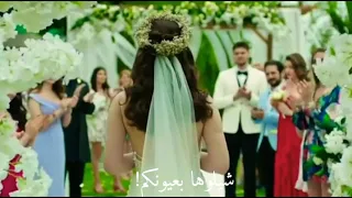 حالات واتس شيلوها بعيونكم داروها برموشيكم زفوها بتوب الفرح هي روحي صارت لكم لايك وإشتراك أصدقائي 