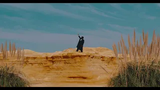 Nissim Black Fly Away 