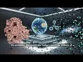 Quantum Computer Explained in 60 Seconds What Is a Qubit