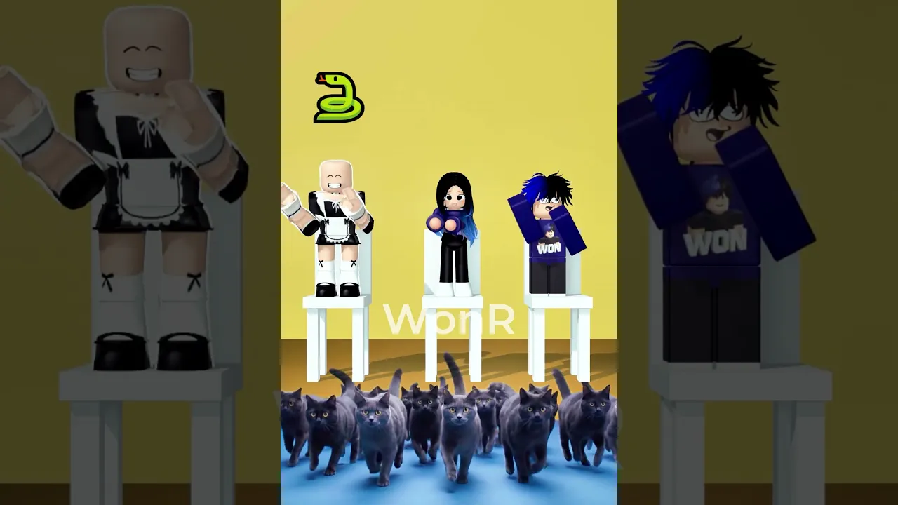 Which one do u choose ?