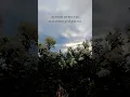 Download Lagu #trendingshorts#viralvideo#love#shorts#quotes#lyrics#sad #love #song #music #coversong