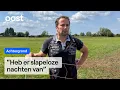 Download Lagu Onrust bij Zwolse boeren, want wolfwerend hek werkt niet |  RTV Oost