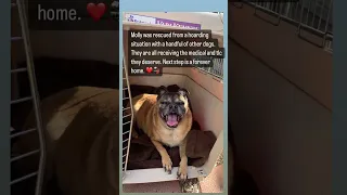 All Aboard Rescue s