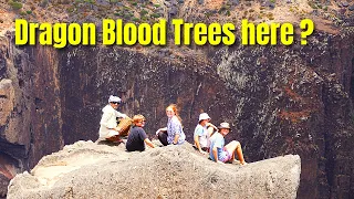 Sailing to Socotra: Dragon Blood Trees, Sunrise Summits & the Gulf of AdenTransit Ep246