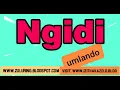 Download Lagu Ngidi Clan History, Sicacisa Umlando wakwa Ngidi