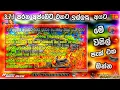 Download Lagu Bussid V3.7.1 Old Update Visil Pack | පරන අප්ඩේට් එකට සුපිරිම නාරම්මල විසිල් බීට් එකක් | PGB | 2025