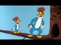 Download Lagu The Twins of Trouble | 2.5 Hours of Classic Episodes of Woody Woodpecker