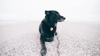 Bro Date with Champ – Baja or Bust 13