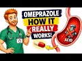 Omeprazole - How it actually works