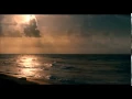 Planta e Raiz  - To no Barato