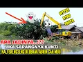 Download Lagu NGERI‼️👻 SARANG KUNTI KALI SRENGSENG DI OBRAK ABRIK CAK MUJI,APA YANG TERJADI ⁉️#kdm 