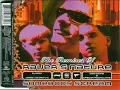 Raver's Nature - Somebody Scream (DJ Dick Remix)